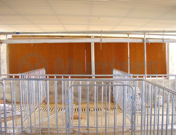 风机水帘降温应用实例28