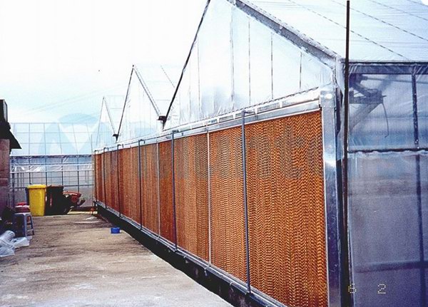 风机水帘降温应用实例22