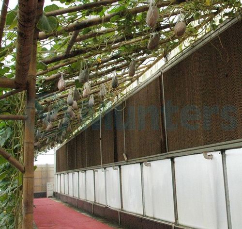 风机水帘降温应用实例21