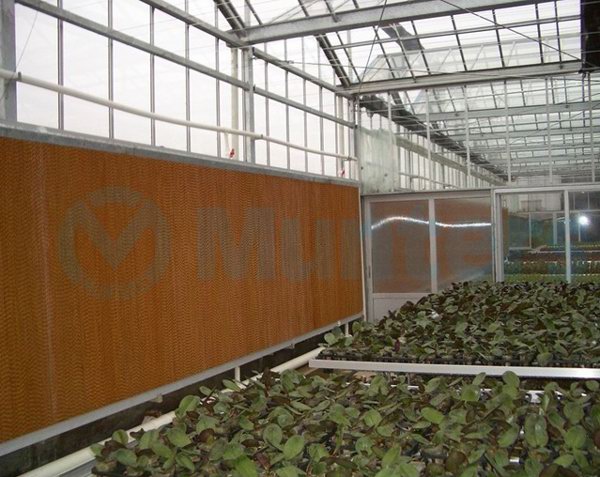 风机水帘降温应用实例20