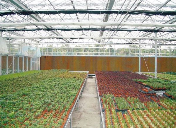 风机水帘降温应用实例19