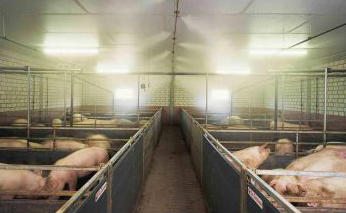 喷雾加湿应用实例07