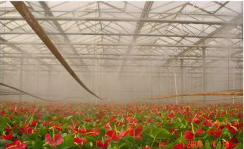 喷雾加湿应用实例06