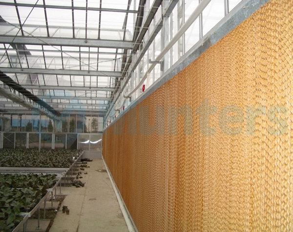 风机水帘降温应用实例17