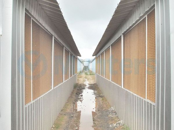 风机水帘降温应用实例16