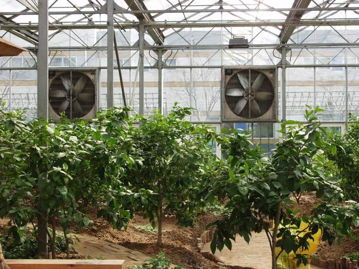 风机水帘降温应用实例07